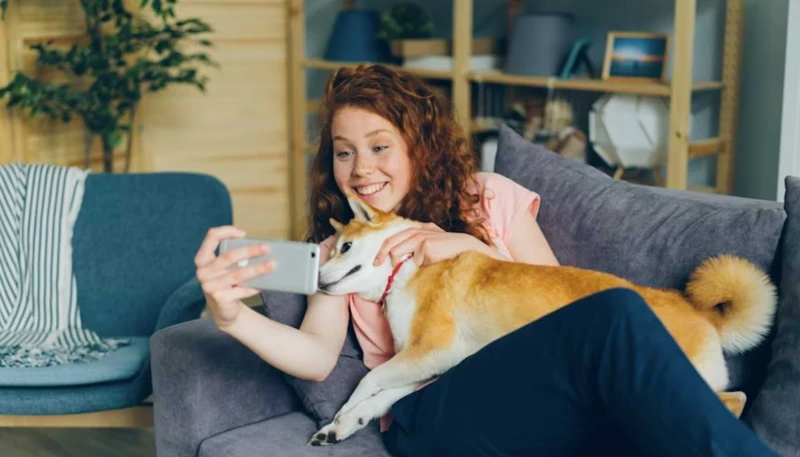 Pet-friendly homes in Sedona