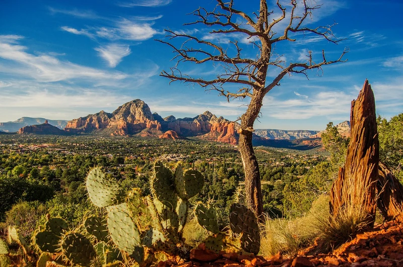 Things to Do in Sedona in Summer