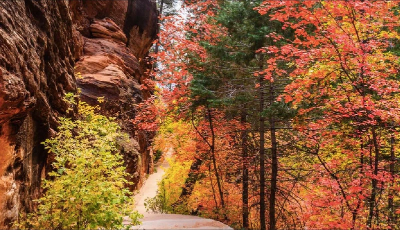 fall in Oak Creek Canyon