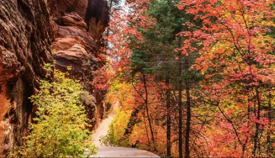 fall in Oak Creek Canyon