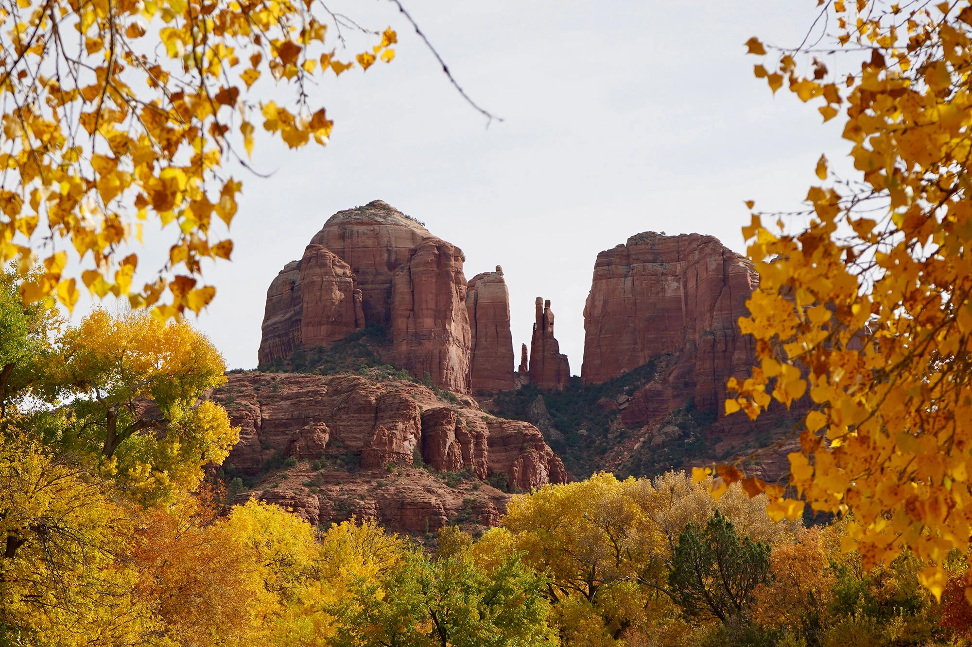 fall in sedona