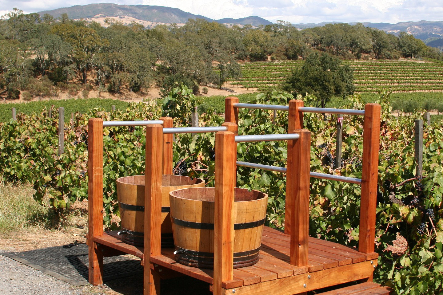 Sedona Area Wineries