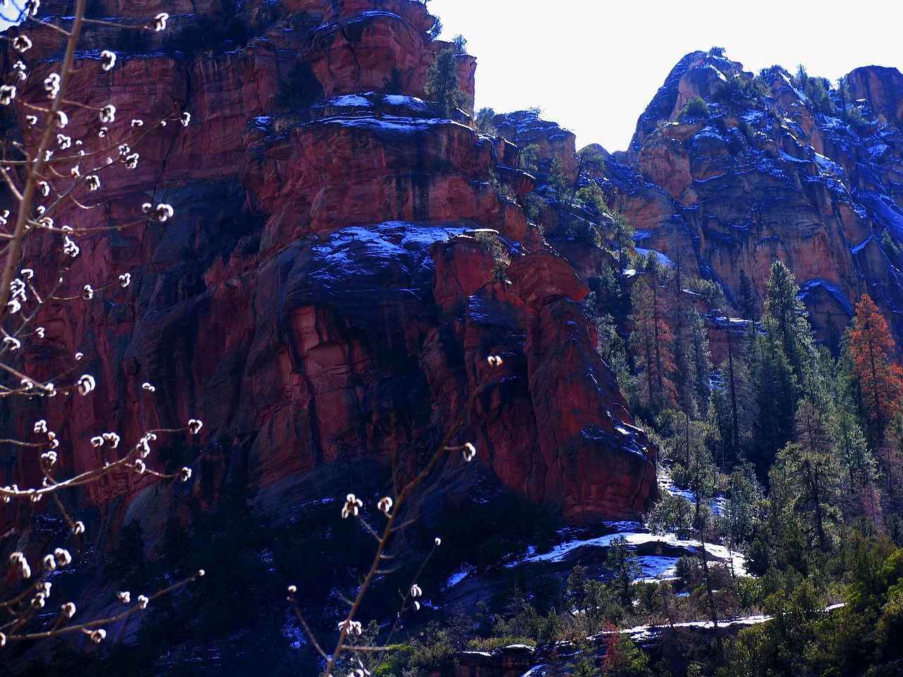 Scenic views during Fall in Sedona