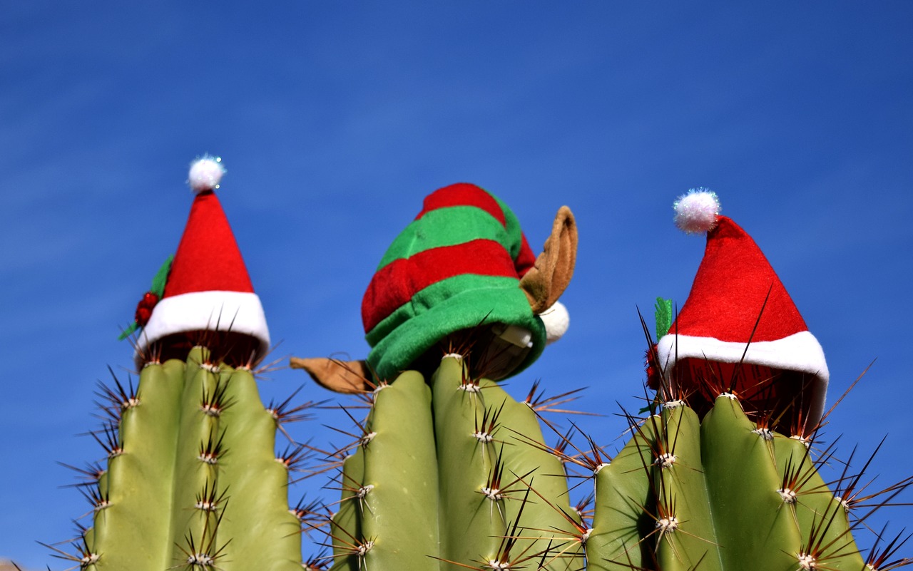 christmas rentals in Sedona AZ
