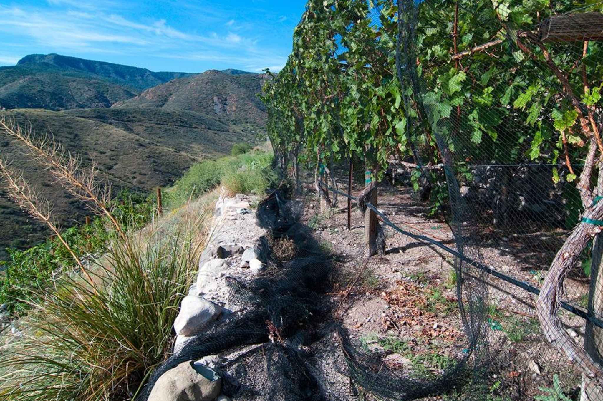 Valley Verde Wine Trail