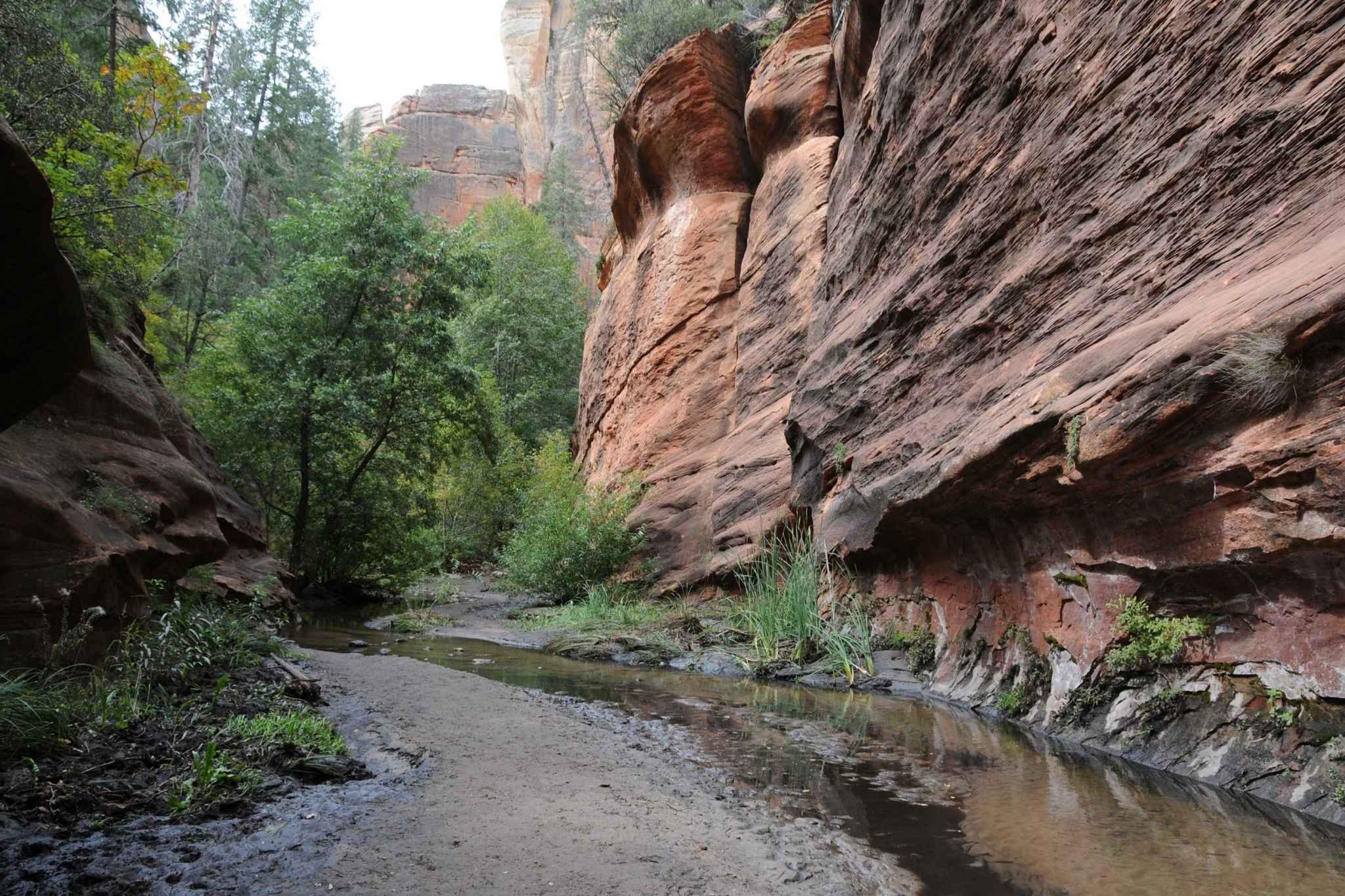West Fork of Oak Creek