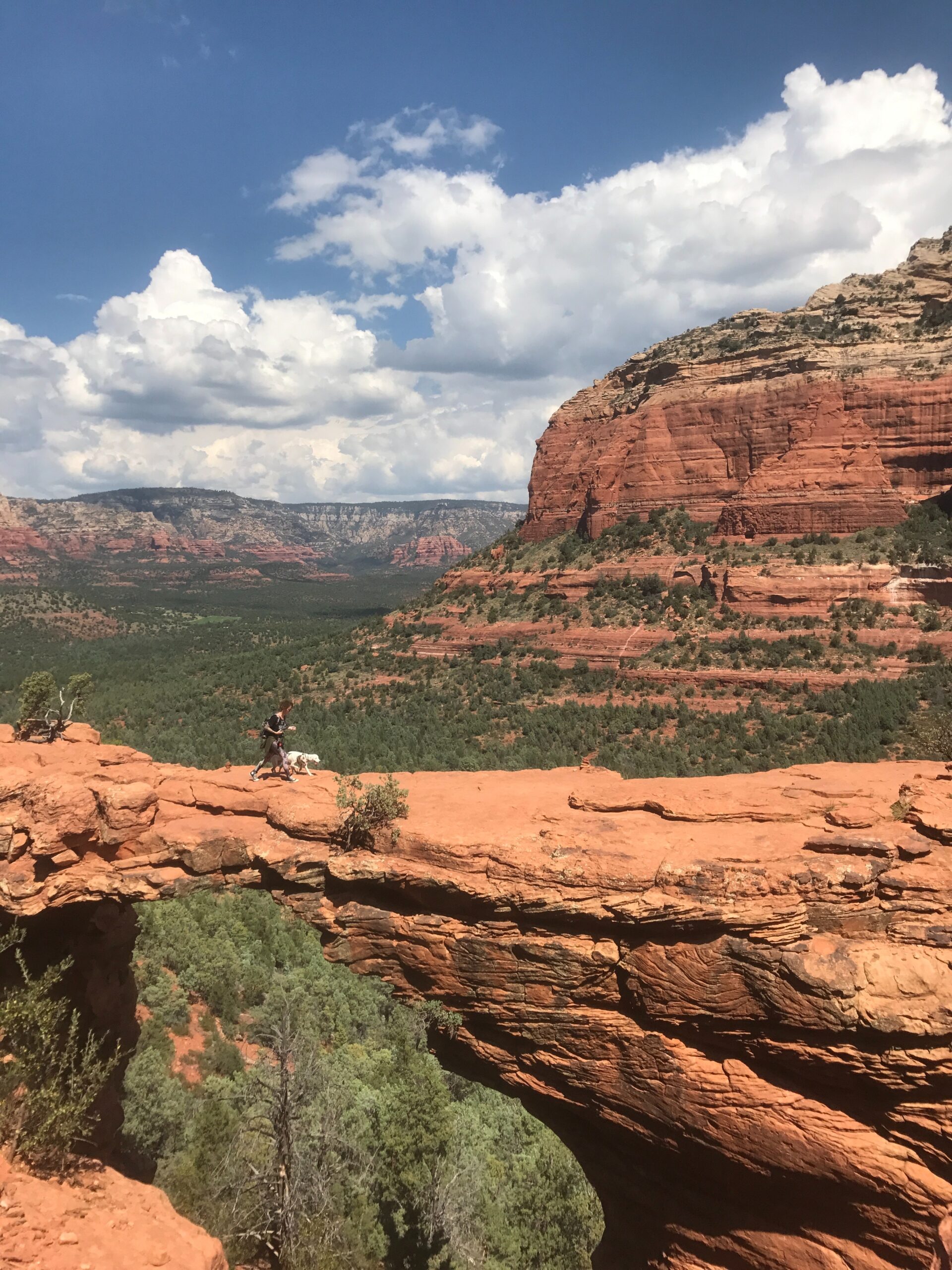 An aerial view of a man and his dog hiking in Sedona