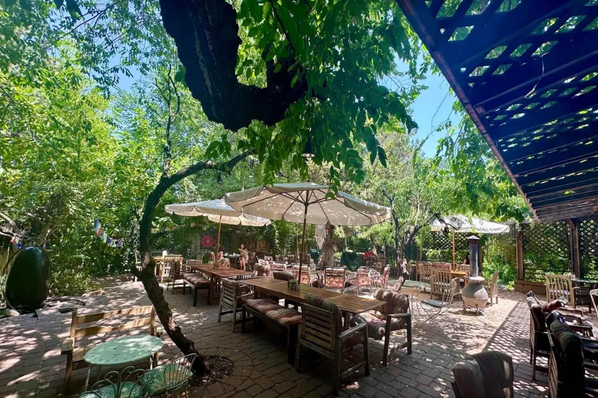 ChocolaTree Organic Eatery